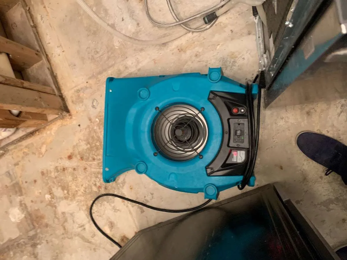 Air mover drying equipment for Mold Remediation & Removal in South Laurel